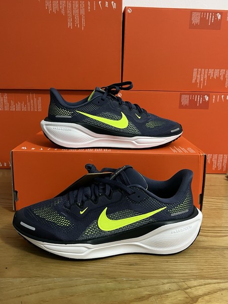 Nike Air Zoom Pegasus 41