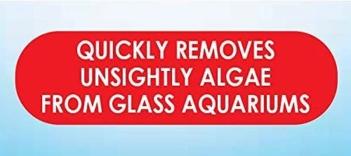 Almohadilla de algas para acuario API - Limpiador de vidrio seguro para tanques de agua dulce y salada Foto 4 de 4