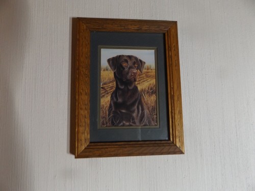 Vintage artwork Michael Steddum Chocolate Lab Brandy oak frame Print 8 1/4 x 6 - Picture 5 of 6