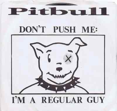Pitbull Dont Push Me: Im A Regular Guy / U Make Me Crazy Vinyl Single 7inch