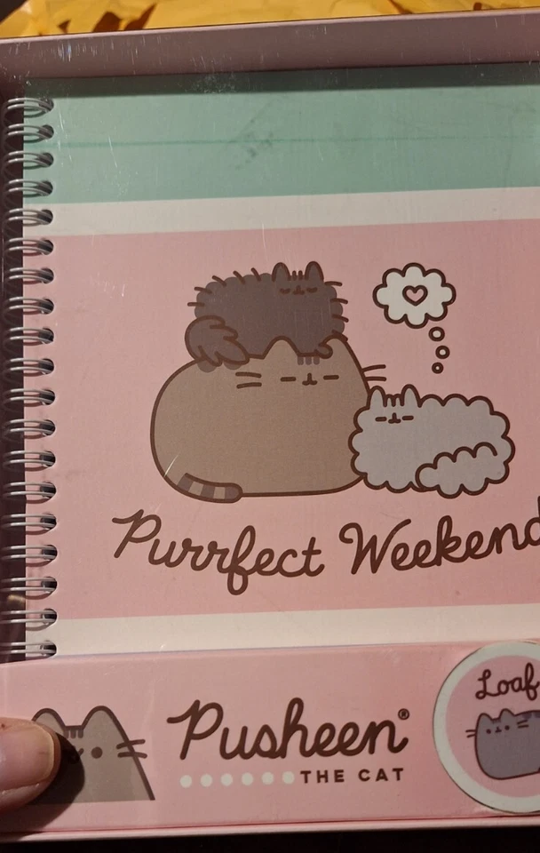 Lindo juego de papelería en caja PUSHEEN The Cat incluye cuaderno y lápiz Foto 2 de 3