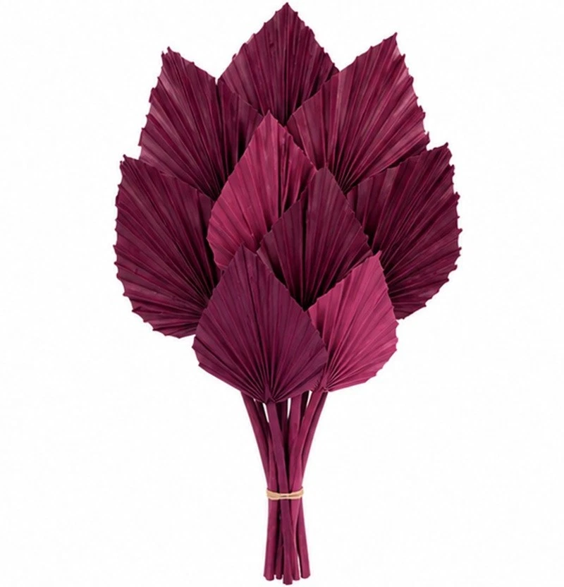 50 Stk Palmspeer fuchsia violett Exoten Trockendeko Palmspeere Deko Trauerdeko - Bild 1 von 1