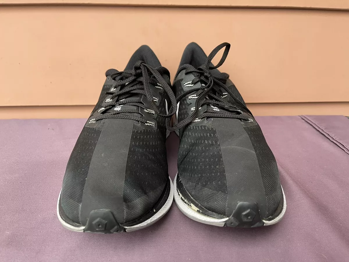 Zoom 2025 x pegasus