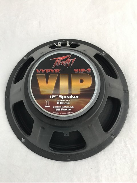 guitar amp replacement speakers