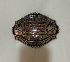 Trophy Rodeo Champion Belt Buckle Bull Rider Riding