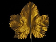 Vintage Millinery Flower Leaf lg 4 1/2" Bronze Maple for Hat Wedding  Hair KE5d