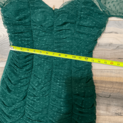 Haute Monde, Mini dress Green, Ruched Mesh Long Sleeve, Size Large | eBay