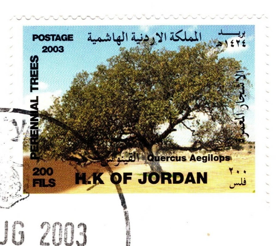 JORDAN 2003 ÁRBOLES PERENNES EN JORDAN PRIMER DÍA CUBIERTA 3 SELLOS CONJUNTO ALTO EN VALOR Foto 4 de 4