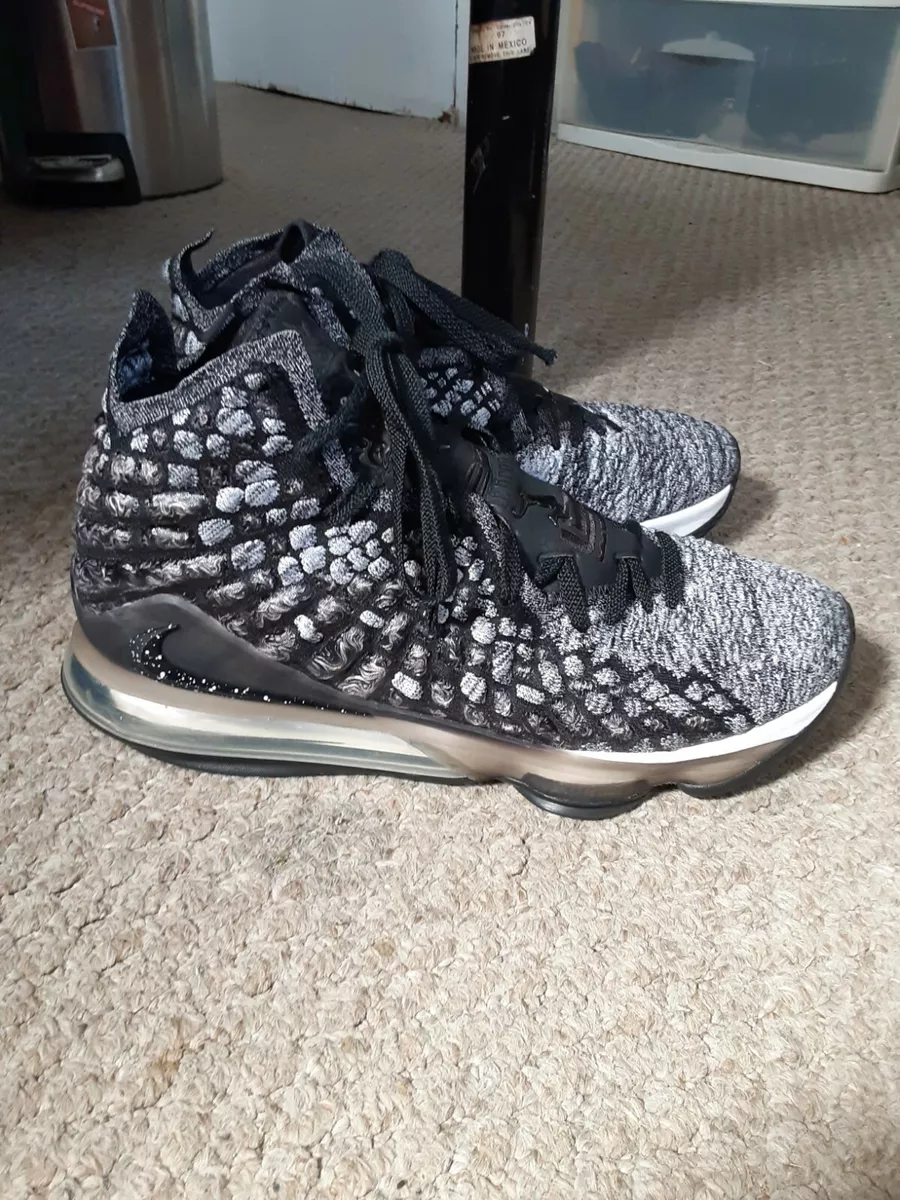 Nike LeBron 17