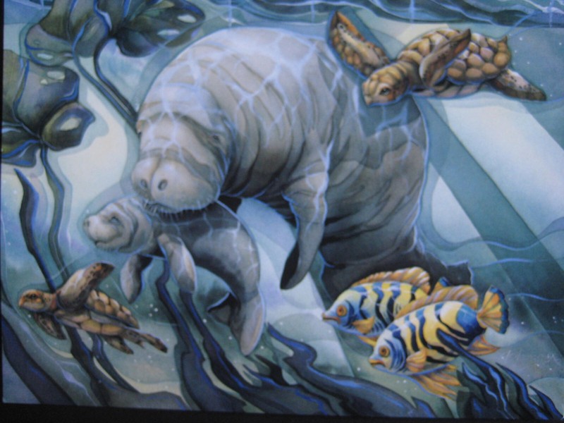 UNUSED vintage greeting card By Jody Bergsma FRIENDSHIP "Home Sea Home"