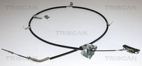 Triscan Seilzug, Feststellbremse 8140 4310111