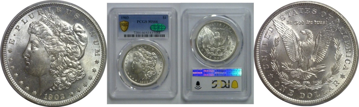 MS 66 Graded 1903 Year Morgan US Dollars (1878-1921) for sale | eBay