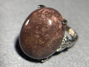 Natural Silicified Coral Fossil Flower Agate Ring/ Adjustable