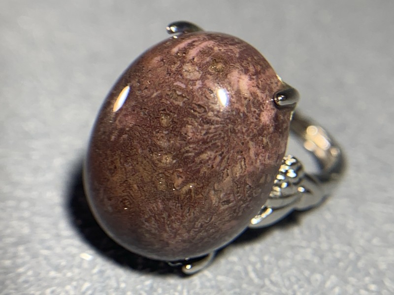 Natural Silicified Coral Fossil Flower Agate Ring/ Adjustable
