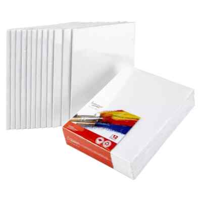 Blank Canvas Lot Blank Canvas Set White Canvas Painting Canvas 12 PACK 8''X10 NEW