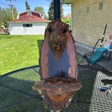 Unique Primitive Homemade BISON HEAD, WALL MOUNT Plaque VINTAGE 16 Inch