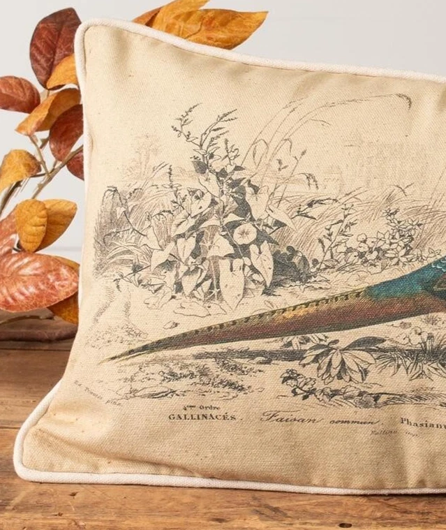 NEW PRIMITIVE Farmhouse PHEASANT PILLOW Beige Traditional Cotton 10"H x 16"W - Image 3 of 3