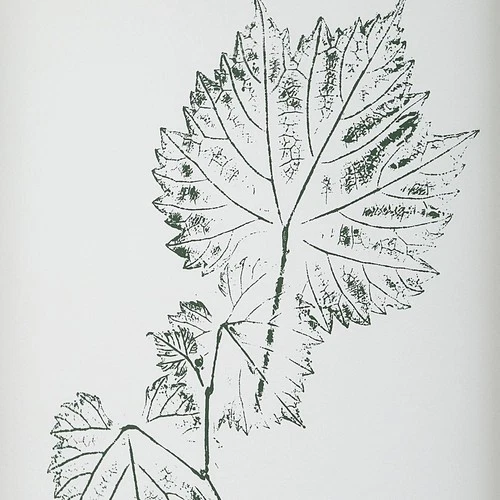 Uttermost 32449 Nature's Script Art Print Cream and Gold - Picture 3 of 6