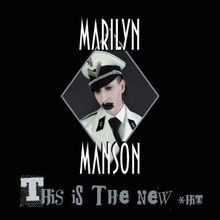 This Is the New Shit von Marilyn Manson | CD | Zustand sehr gut