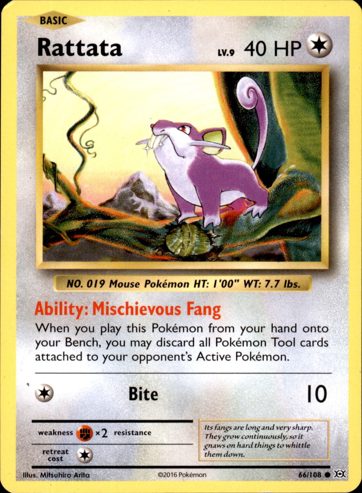 Rattata 66/108 Common - Pokemon XY - Evolutions LP