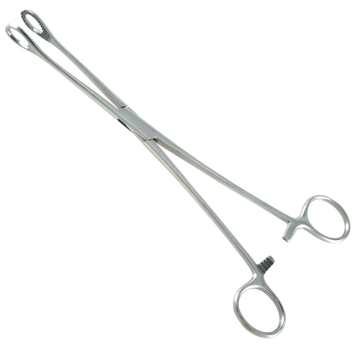 Foerster Sponge Forceps 9.5