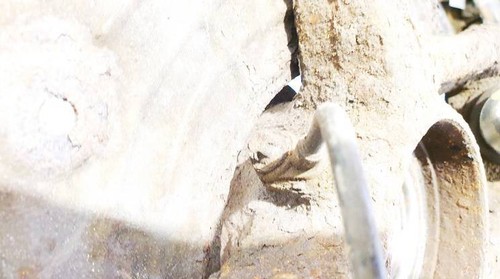 Mercedes-Benz ML-CLASS 2006 ABS Sensor (ABS WHEEL SPEED SENSOR) fr #1852943-94