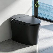 HOROW Black Smart Bidet Toilet with Auto Open/Close Lid, Heated Seat, Dual Flush