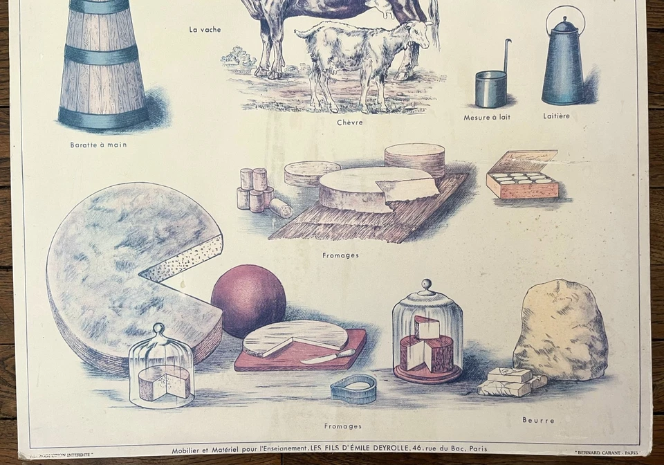 🐄 Ancienne affiche scolaire Deyrolle originale, 1950 - Le lait, fromages - Photo 3/4