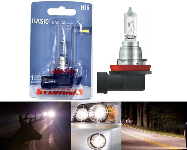 Sylvania Basic H16 64219 19W One Birne Nebel Licht Ersatz Orig. Lager Lampe Fit-image