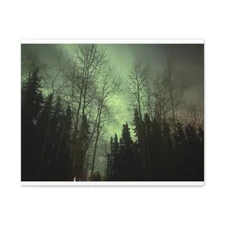 Aurora Borealis Matte Canvas, Stretched, 1.25"