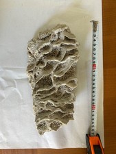 crystals rocks fossils minerals