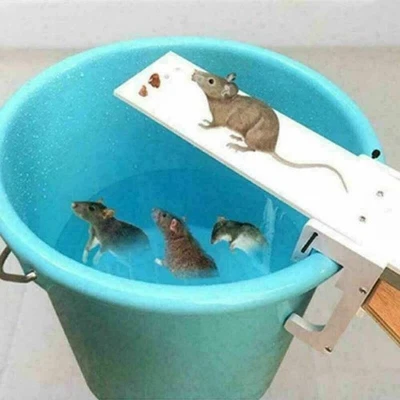 Catch Catch Rat Trap Mouse Trap Mice Auto Reset Humane Bucket Walk The Plank