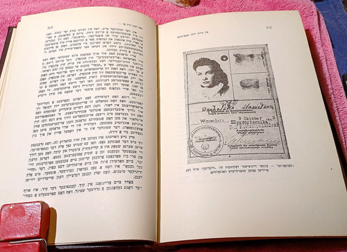 1948 HC YIDDISH On Both Sides Of The Ghetto Wall Fun Beyde Zaytn Geto-Moyer... - Bild 21 von 23