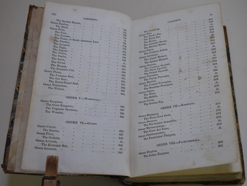 1835 THE NATURALISTS OWN BOOK Quadrupeds (John Frost) Restored - Picture 11 of 20