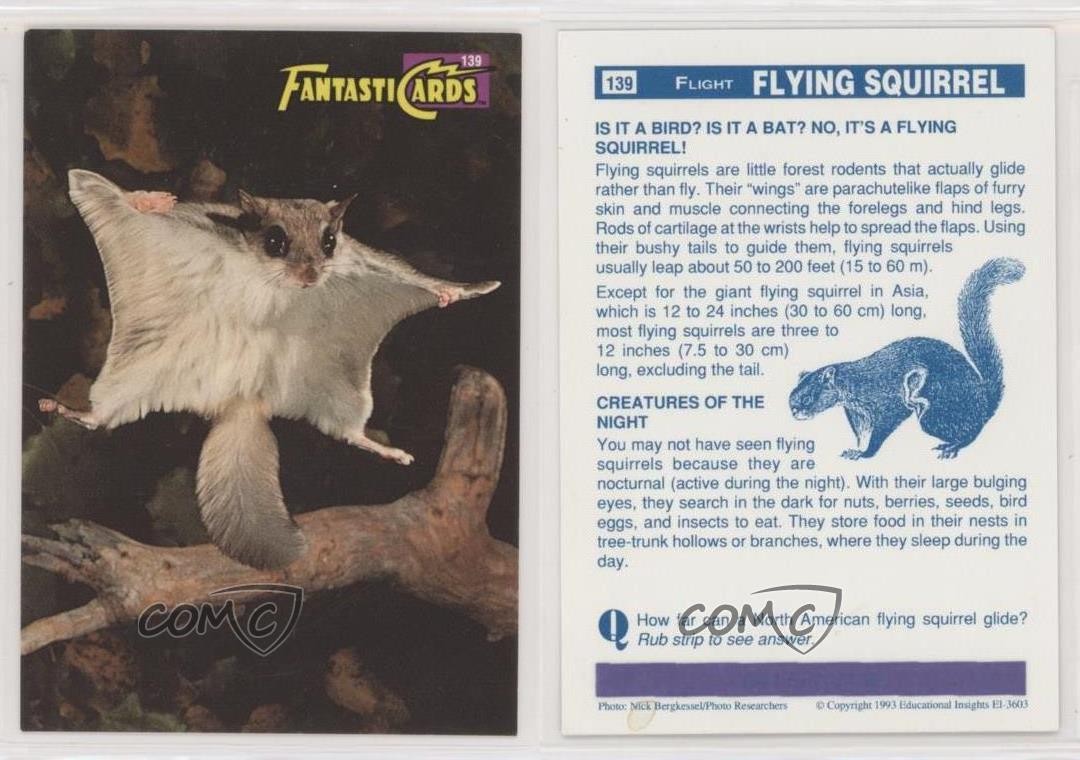 1993 Educational Insights FantastiCards Flying Squirrel #139 kr0