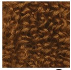 Matrix Coil Color Ammonia-Free Pmnt Hair Dye 8CG Med Blonde Copper Gold 2.6 oz — photo 4
