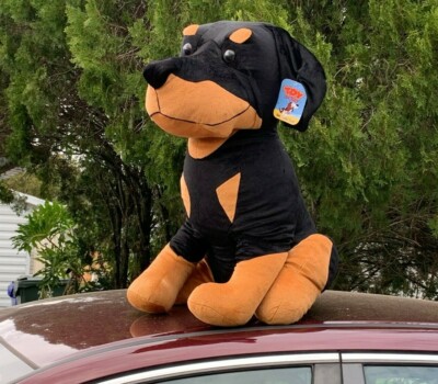 stuffed doberman plush