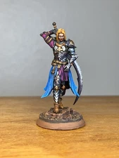 Painted Elf Paladin Fighter Miniature, Pro Painted D&D DND Miniature DM Stash