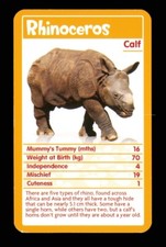 1 x info card Baby Animal Rhinoceros calf ≠ Q75