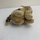 Bild 6 von 6