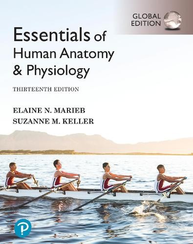 Essentials of Human Anatomy & Physiology, Global Edition by Elaine Marieb - Image 4
