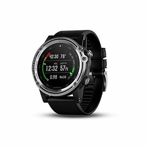 garmin descent mk1 silver
