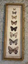 Butterfly wall art