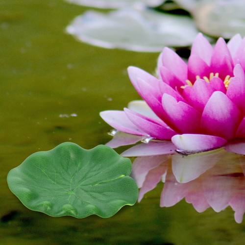10PCS Lily Pads Plastic Pond Leaf Ornaments Foliage Pond Ornaments Lily Pads - 第 3/12 張圖片