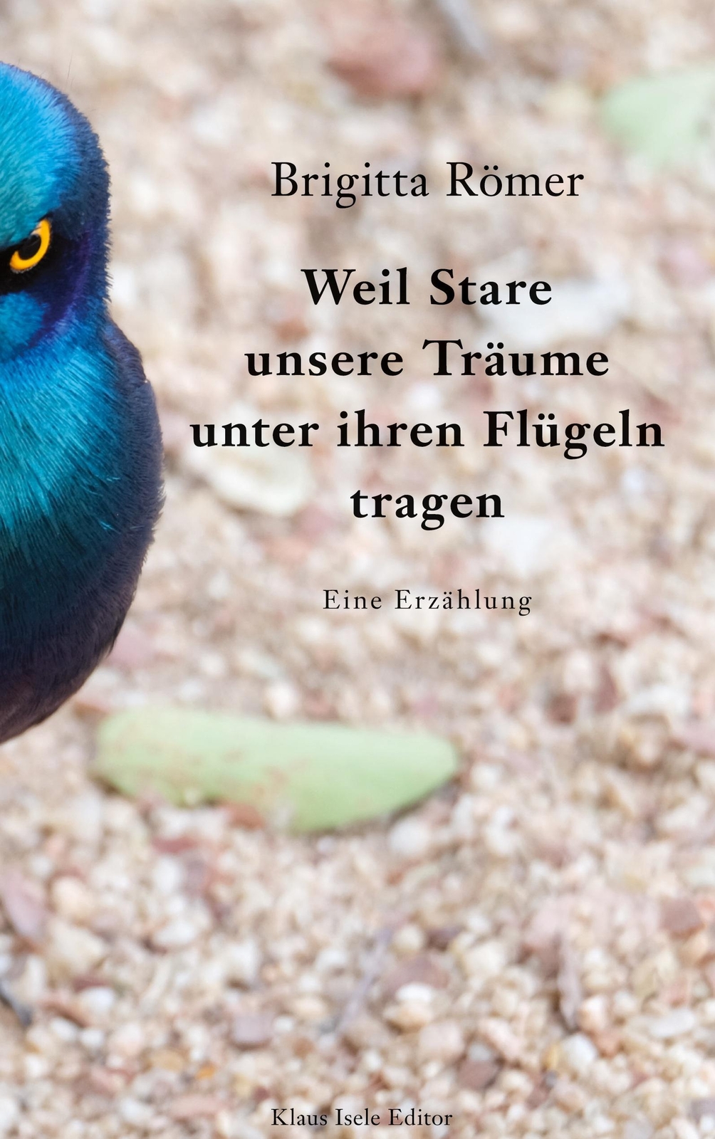 Weil Stare Unsere Träume Unter Ihren Flügeln Tragen - Brigit ...