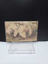 Men Logging Trees Lake Cushman Washington State Real Photo RPPC Post Card USA