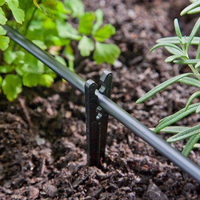 Raindrip 381010B Plastic Drip Irrigation Tubing Support Stake 6 H in.
