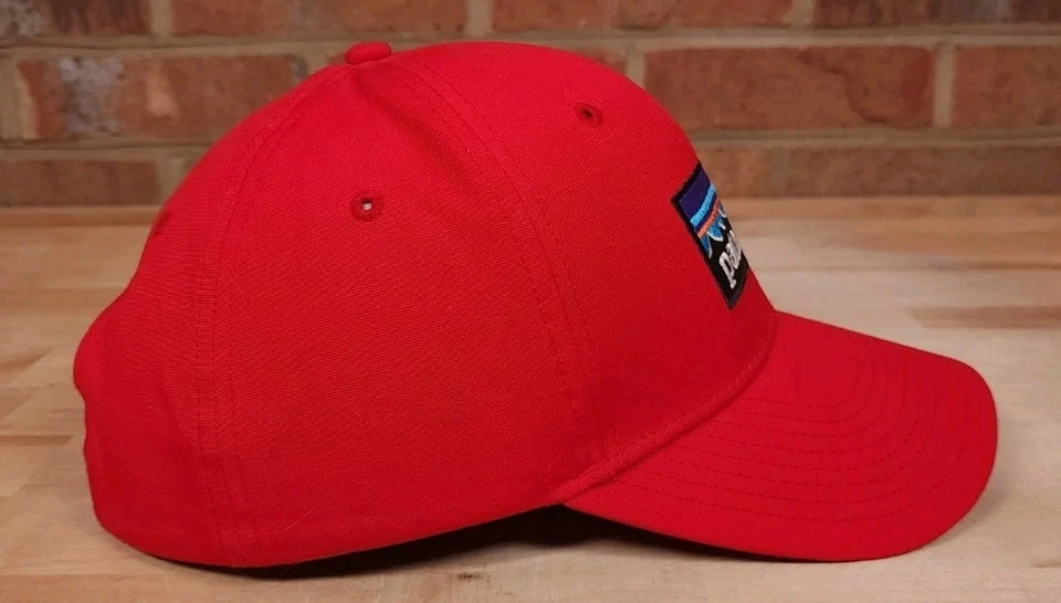 Gorra Patagonia Roja Snap Back en Excelente Estado Algodón Orgánico Foto 4 de 4