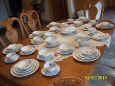 Thomas Rosenthal Vtg Fine Porcelain China Rose Pattern 64 Piece Grouping Germany