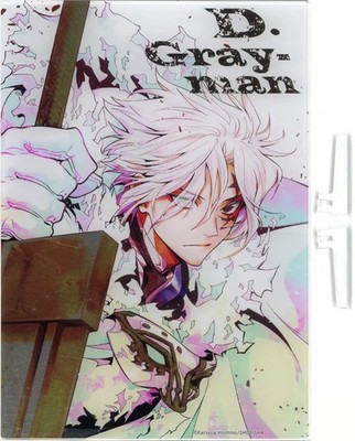 D.Gray-man Acrylic Art with Foil Allen Walker Stand Deco 8x11in Collectible
